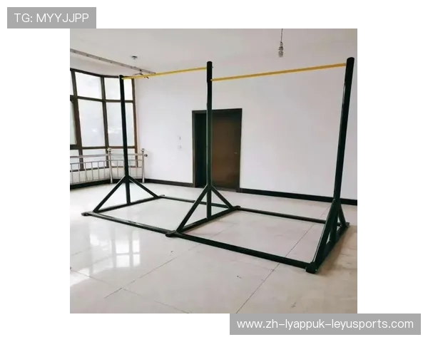 哪个健身器材减肥效果最好？科学体育测评解答