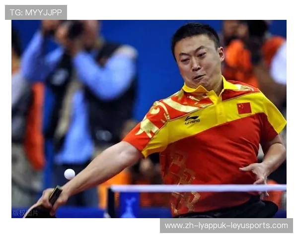 羽毛球马林 黄牌